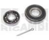 CALIBER RC1622 Wheel Bearing Kit